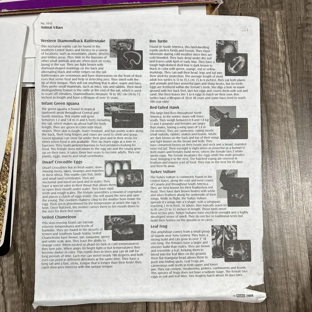 Animal X-Rays Biology Reference Photos Set 14 Teacher Parent Guide Home School